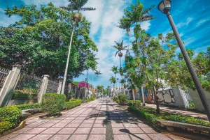 Costa Rica San Jose: SJO Flygplats - Centrum Privat Transfer