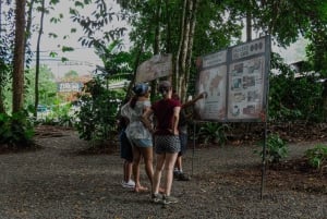 Costa Rica: dovendyr-tur og kaffe, sjokolade og sukkerrør