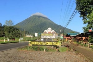 Costa Rica: Sloth Watching and Coffee, Chocolate, and Sugar…