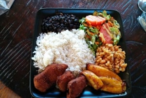 Guanacaste: Laiskiainen + vesiputous + puiden istutus (yksityiskierros)