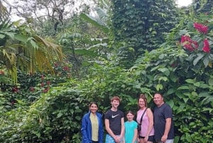 Guanacaste: Laiskiainen + vesiputous + puiden istutus (yksityiskierros)