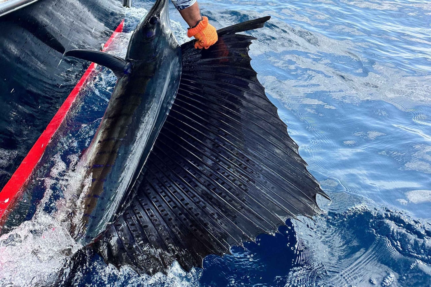 Costa Rica: Halbtägiges privates Sportfischen mit Guide