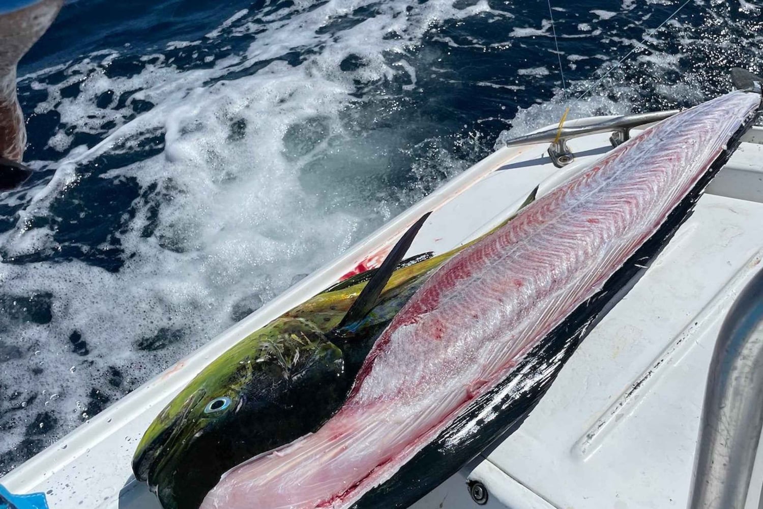 Costa Rica: Halbtägiges privates Sportfischen mit Guide