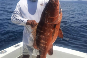 Costa Rica: Halbtägiges privates Sportfischen mit Guide