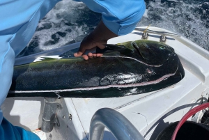 Costa Rica: Halbtägiges privates Sportfischen mit Guide