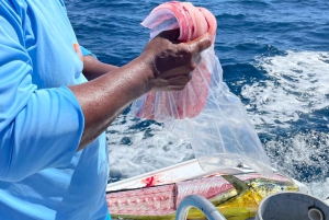 Costa Rica: Halbtägiges privates Sportfischen mit Guide