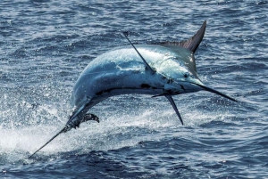 Costa Rica: Halbtägiges privates Sportfischen mit Guide