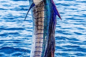 Costa Rica: Halbtägiges privates Sportfischen mit Guide