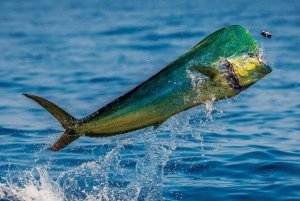 Costa Rica: Halbtägiges privates Sportfischen mit Guide