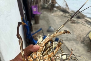 Costa Rica: Halbtägiges privates Sportfischen mit Guide