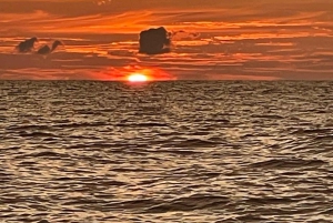 Costa Rica: Auringonlasku ja snorklaus 3/4 päivän yksityinen charter