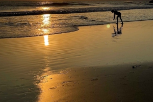 Costa Rica: privé charter met zonsondergang en snorkelen