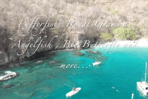 Costa Rica: privé charter met zonsondergang en snorkelen