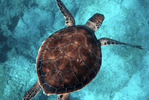 Costa Rica: privé charter met zonsondergang en snorkelen