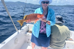 Costa Rica: privé charter met zonsondergang en snorkelen