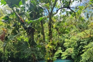 Costa Rica: Tenorio National Park and Sloth Sanctuary Tour