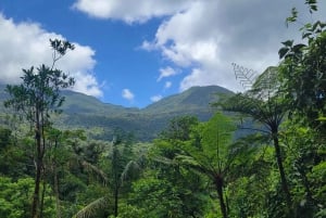 Costa Rica: Tenorio National Park and Sloth Sanctuary Tour