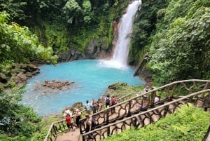 Costa Rica: Tenorio National Park and Sloth Sanctuary Tour