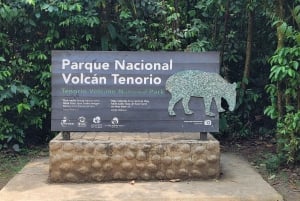 Costa Rica: Tenorio National Park and Sloth Sanctuary Tour