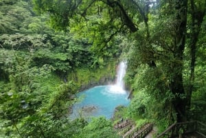 Costa Rica: Tenorio National Park and Sloth Sanctuary Tour