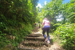 Costa Rica: Tenorio National Park and Sloth Sanctuary Tour