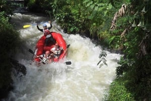 Costa Rica: White-Water Rafting Class III-IV Adventure