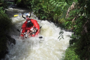 Costa Rica: Rafting med vitt vatten klass III-IV äventyr
