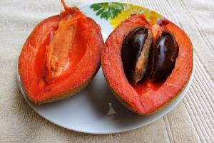 Degustação guiada de frutas tropicais da Costa Rica em San José