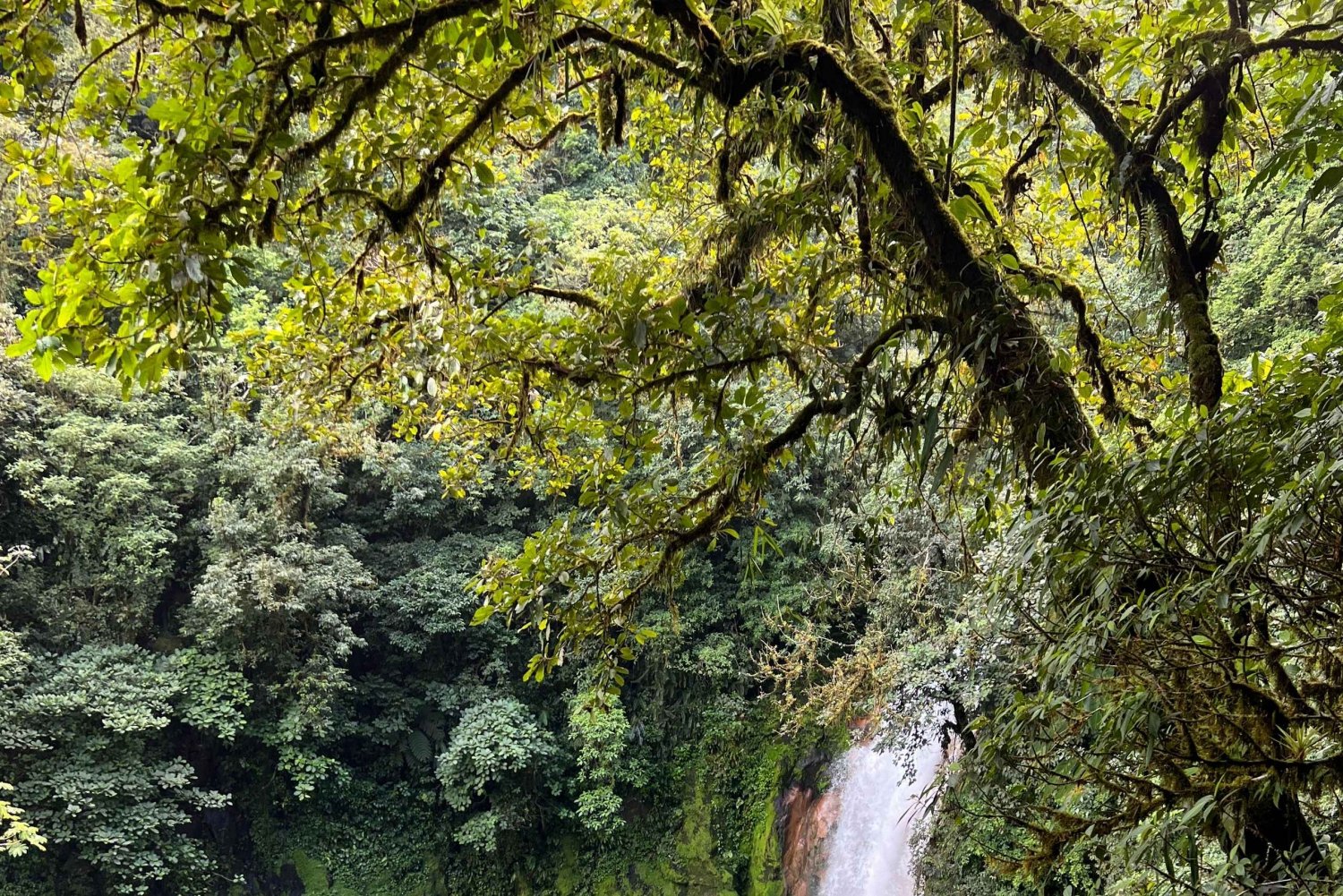 CR Luxe 14-uur durende off-the-beaten-path tour overal