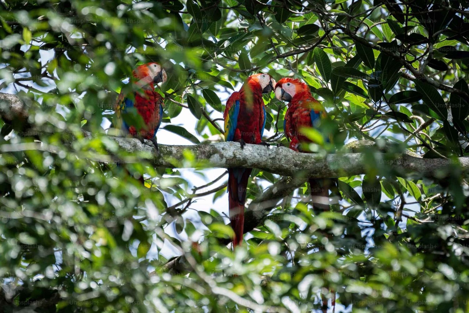 CR Luxe 14-uur durende off-the-beaten-path tour overal