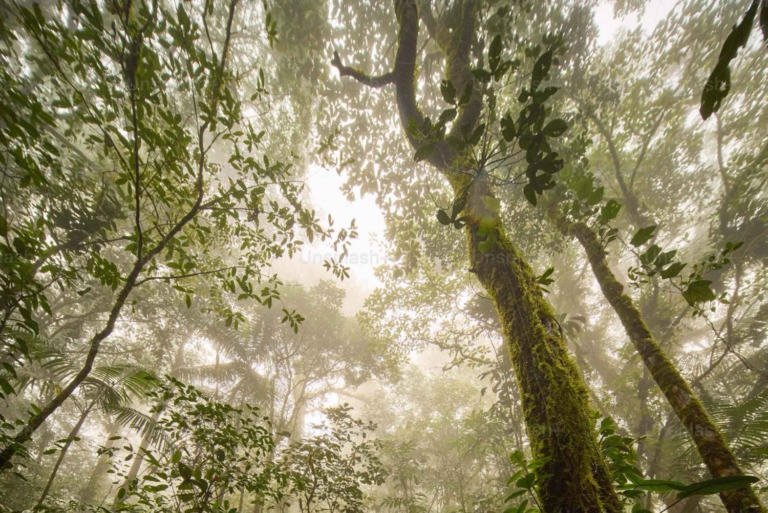 Costa Rica: tour de lujo de 14 horas por lugares poco conocidos