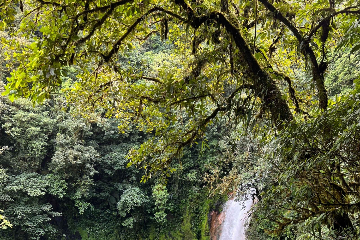 Costa Rica: tour de lujo de 14 horas por lugares poco conocidos