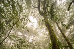 CR Luxe 14-uur durende off-the-beaten-path tour overal