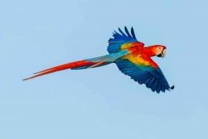 CR Luxe 14-uur durende off-the-beaten-path tour overal