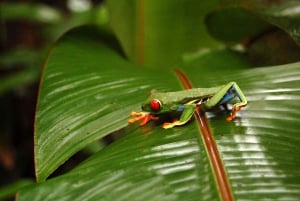 CR Luxe 14-uur durende off-the-beaten-path tour overal