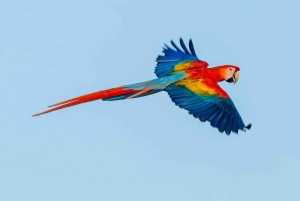 Costa Rica: tour de lujo de 14 horas por lugares poco conocidos