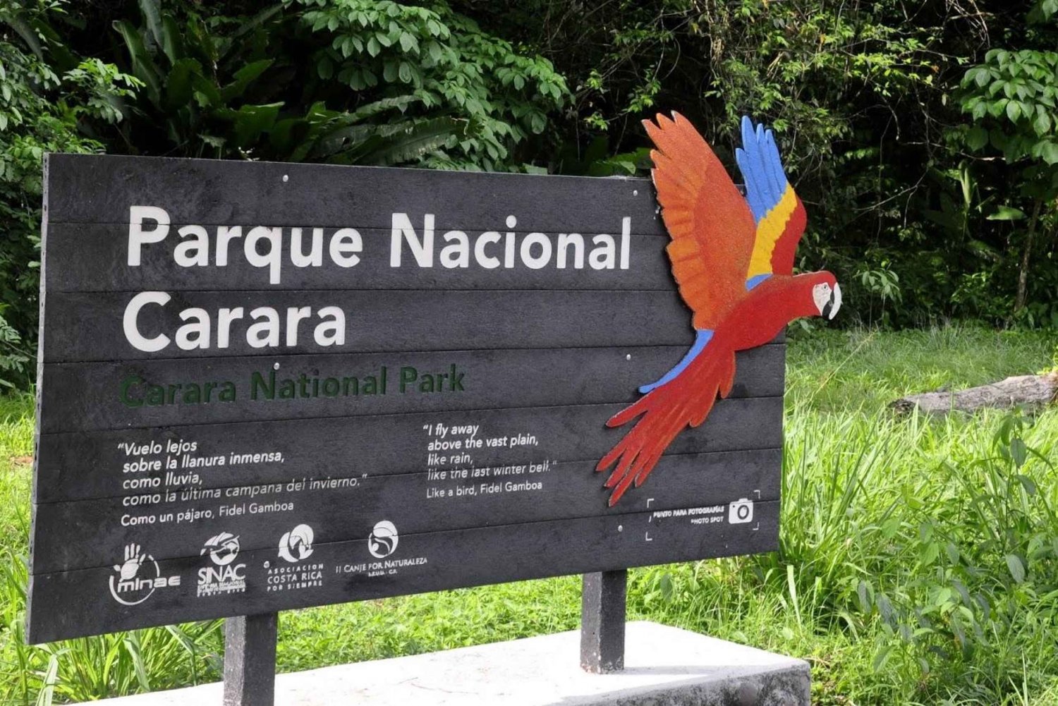Puente de los Cocodrilos y Parque Nacional de Carara: Tour de día completo