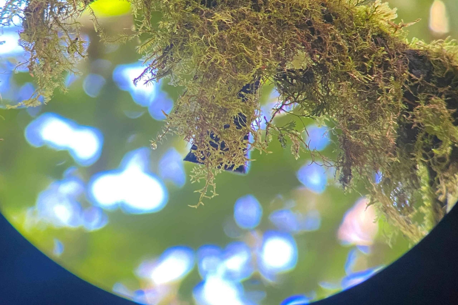 Curi cancha preserve tours