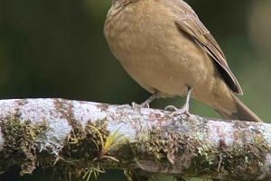 Curi cancha preserve tours