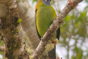 Curi cancha preserve tours