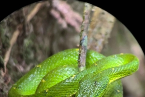 Curi cancha preserve tours