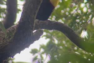 Curi cancha preserve tours