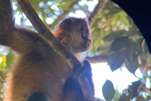 Curi cancha preserve tours