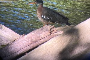 Curi cancha preserve tours