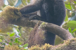 Curi cancha preserve tours