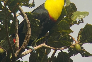 Curi cancha preserve tours