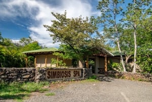 Curubande: Simbiosis Spa: Vulkaaninen mutahieronta ja kahvihieronta.