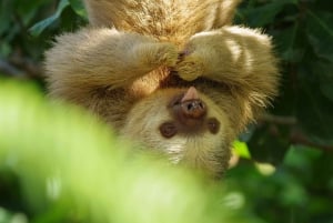 Diamante Eco Adventure Park : expérience culturelle costaricienne