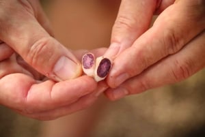 Diamante Eco Adventure Park: esperienza culturale costaricana