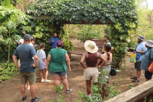 Diamante Eco Adventure Park: Costa Rican Cultural Experience